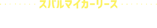 スバルマイカーリース　シンプルパッケージNeo